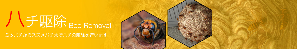 ハチ駆除